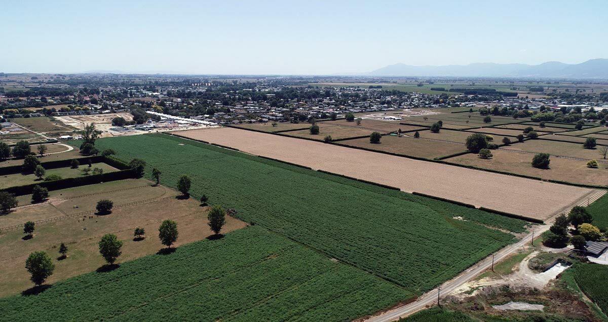 Aerial photo of farmland in Matamata, New Zealand