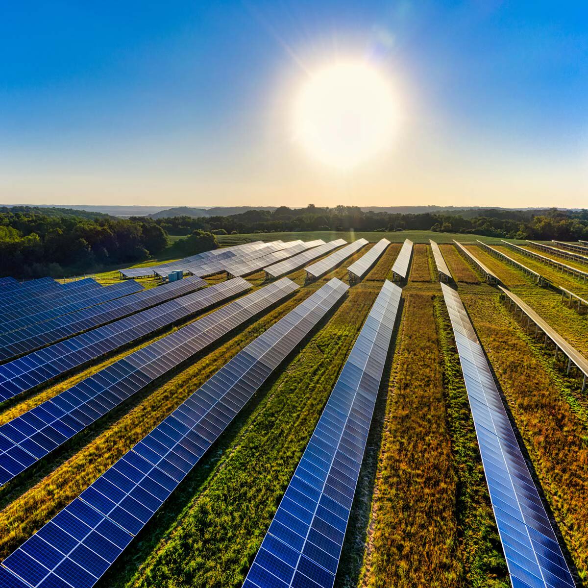 Photo of solar panels mounted on the ground in a large field. The sun is shining brightly onto the solar panels.